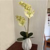 Noveltia Artificial Green Orchid – 2 Stems, 12 Flowers, White