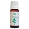 Japanese Peppermint Oil, 10 ml