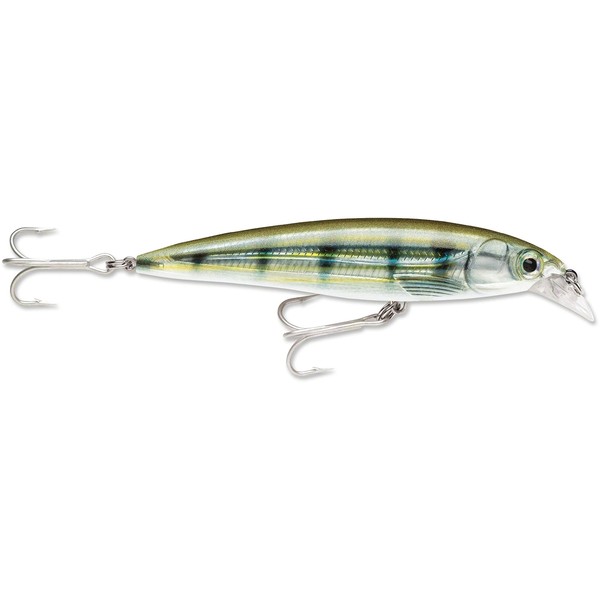 X-Rap Saltwater 10 Pinfish