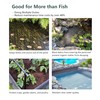 Pond Netting, Pond Netting for Koi Ponds 15 x 20