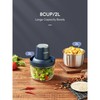 Electric Food Chopper with 2 Bowls/2L, 2 Sets Blades, FOHERE