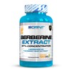 Berberine - 1500 mg High Dose - 97% Concentration -