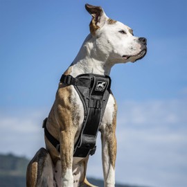 Kurgo Tru-Fit Smart Dog Walking Harness - Comfortable Fit - Adjustable Harness - Reflective Pet Wear - Quick Strap Release - Daily Walk Accessory - Includes Seat Belt Loop - Black - Medium