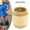 DUZFOREI Brass in-Line Spring Check Valve DN32 1-1/4" Female Thread,