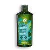 Yves Rocher Pure Detox with Organic Algae Purifying Shampoo Sulfate