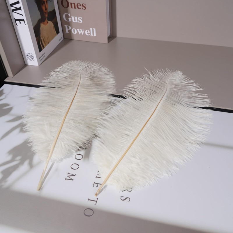Shekyeon Piuma di struzzo fai da te, 40-45 cm, confezione