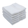 Linteum Textile Premium Wash Cloths Set 13x13 Inches, 100% Cotton