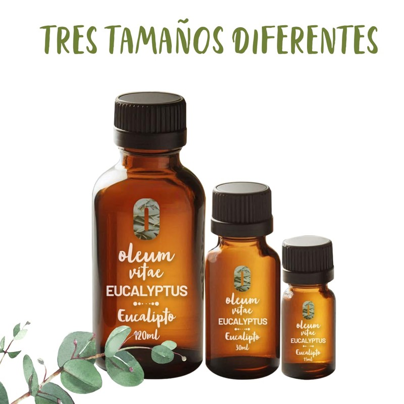 OLEUM VITAE Aceite Esencial de Eucalipto 30ml. Eucalyptus Globulus 100%
