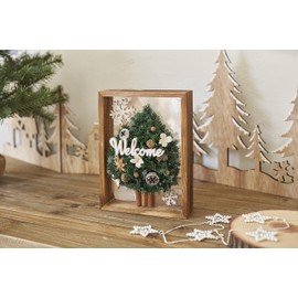 Daichi Farm DO024320-000 Dried Flowers, Amber Balm, Natural (Pack of 20), Approx. 1.2 inches (3 cm)