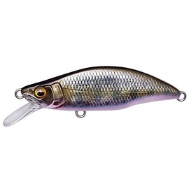Megabus GH64 Humpback (FS) Takumisake Fry
