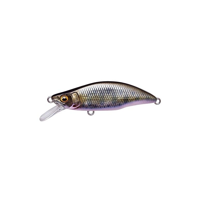 Megabus GH64 Humpback (FS) Takumisake Fry