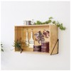 Heian Shindo LABRICO WPK-68 Wall Shelf, Triangle Frame, Large, Shelf