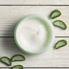 THE BODY SHOP Aloe Soothing Night Creme 50 ml