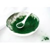 Food To Live Mezcla Polvo Orgánico Algas Spirulina Y Clorela