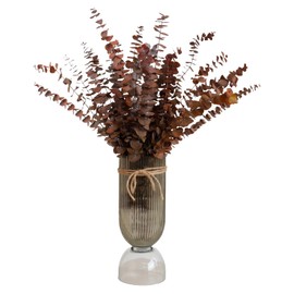 Eucalyptus Leaves/Stems, Natural - Dried - Perserved Eucalyptus, Real Plant, for Wedding, Home Decor, DIY, Total of 25 Pieces (Orange)