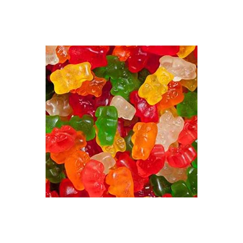 The Nutty Fruit House Sugar Free Gummy Bear (2 Pound
