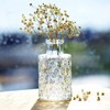 Fumete 200 Pcs Mini Dried Baby Breath Flowers Christmas Ivory