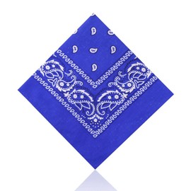 Lizzy Paisley Multifunctional Bandana's Headwear Neckwear Neckerchief Cycling Cowboy Scarf Head Neck Gaiter - Mens Womens Multipack Assorted Men Hair Pirate Bandana (Royal Blue)
