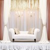 2 PCS Curtains Tie Back Rope, Curtain Tie Backs Rope,