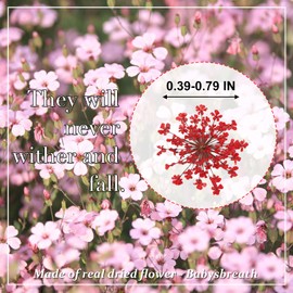 HEISENLIN Pressed Dried Flowers Gypsophila for Resin Real Dried Pressed Flower, Natural Pressed Flowers for Scrapbooking DIY Candle Decoration Resin Jewelry Crafts Making (Rose)