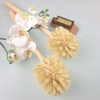 Original x-mike Toilet Brush, Oiled Beech Wood Handle with Natural