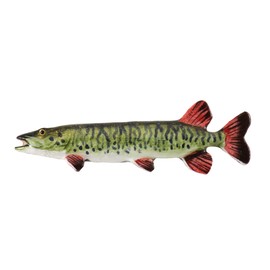 Handcrafted Hand Painted Muskellunge Magnet Gift for Fishermen Home Office Lodge Fridge Whiteboard Locker - Made in United States - SKU FP068MAG