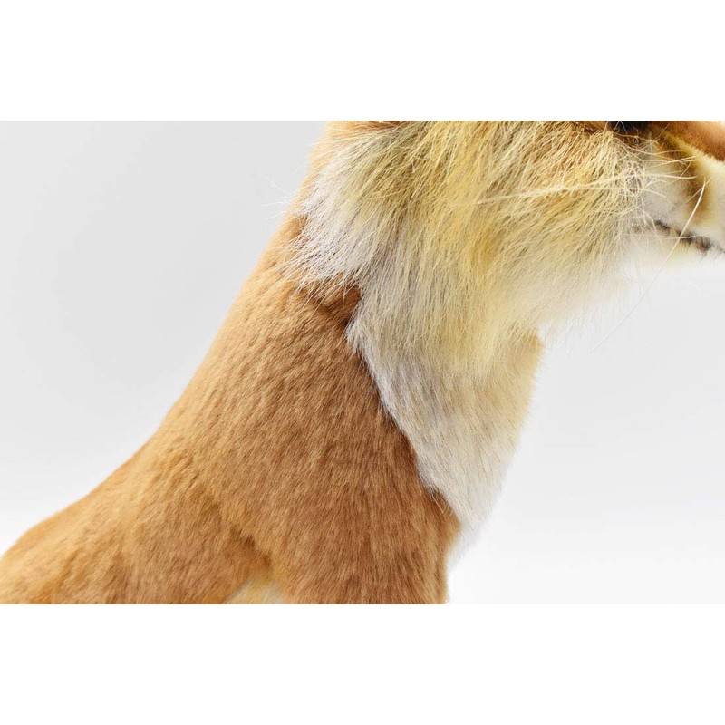 Hansa Acorn Fox 30 No. 6098