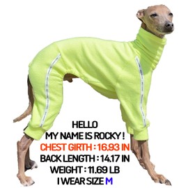 D DOGGY STAR - Ropa de galgo italiano con toalla elástica deportiva para chamarra de perro (XL, TWL Neonyellow)