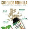 Herbal Ashwagandha 2,100 mg - Extra Strength Unwind, Calm &