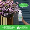 UpBloom - 32 Oz Squeeze Bottle for Hanging Plants, Squirt