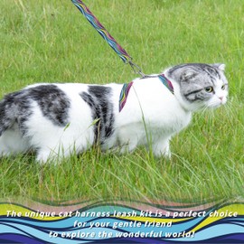 Seyezo Cat Harness and Leash Set, Adjustable Kitten Harness Escape Proof Cats Harness, Soft Lightweight Walking Travel Pet Harness, Cute Kitty Harness Leash Set for Small Medium Cats, Colourful Waves