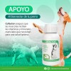 Ruiland® Vetri Cofactor 60 Tabletas Vitaminas Para Perro