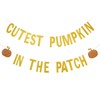 Cutest Pumpkin in The Patch Banner Gold Glitter- Little Pumpkin