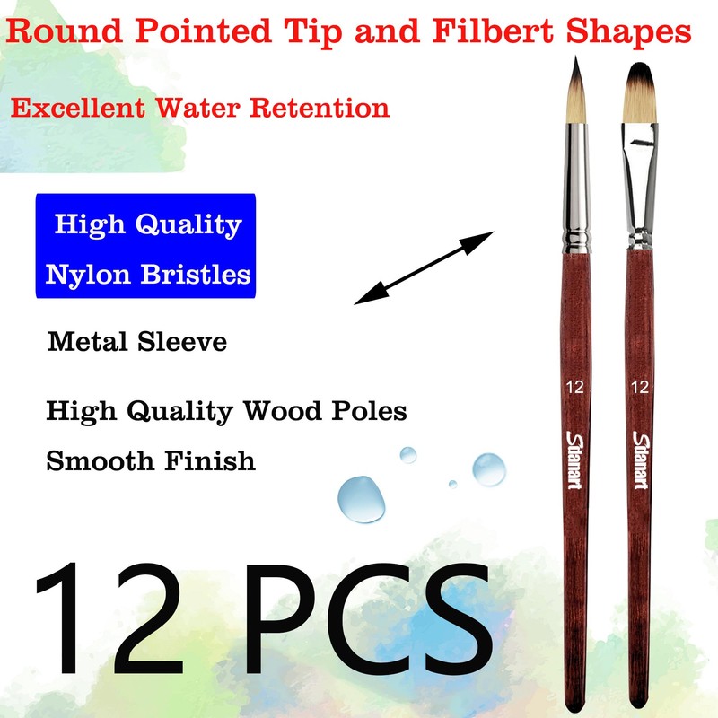 Sdanart 12 pcs Acrylic Paint Brushes Set,6 Professional Round Pointed