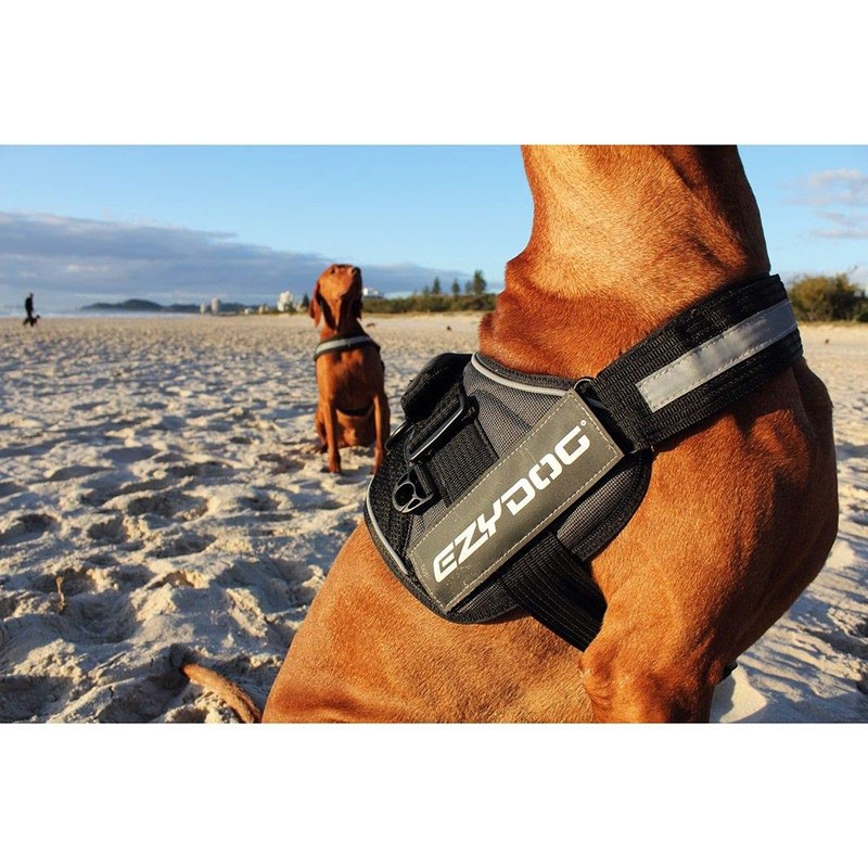 EZYDOG Convert Dog Harness | Magnetic Handle, Anti Pull Harness,
