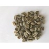 T.M. Ward Coffee 5 LBS Brazilian Santos #14/16 Green Bean