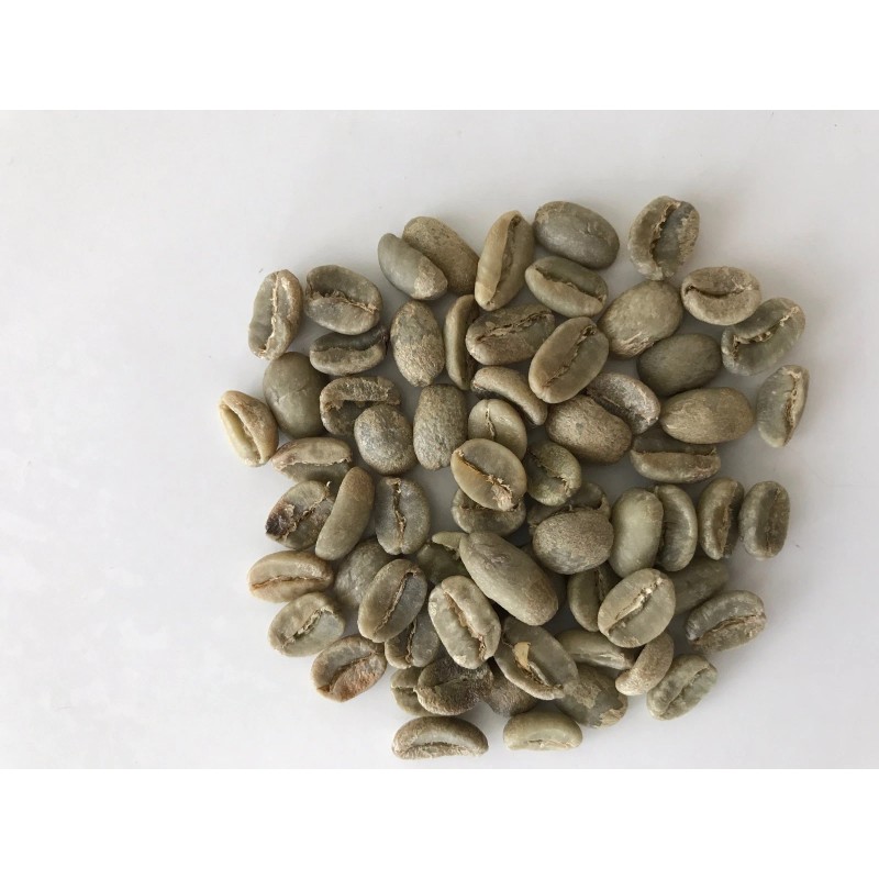 T.M. Ward Coffee 5 LBS Brazilian Santos #14/16 Green Bean