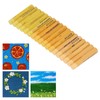 18Pcs Oil Pastels Yellow Series Bright Colour Safe Easy Blending