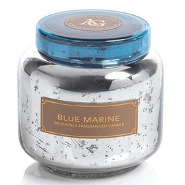 Zodax Blue Marine Silver Glass Apothecary Guild 14 oz Scented Jar Candle