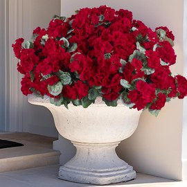 DuHouse Artificial Flowers for Outdoor Indoor Garden Home Decoration 6 Bundles Silk Geranium Flowers for Outdoors UV Resistant Faux Flowers for Kitchen Table Centerpieces Decor