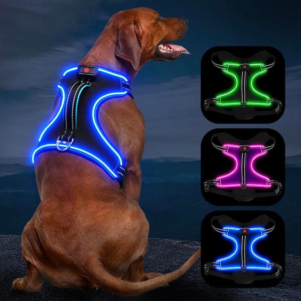 Luminous Rechargeable Light Harness for Dogs, LED Illuminated, for Small,