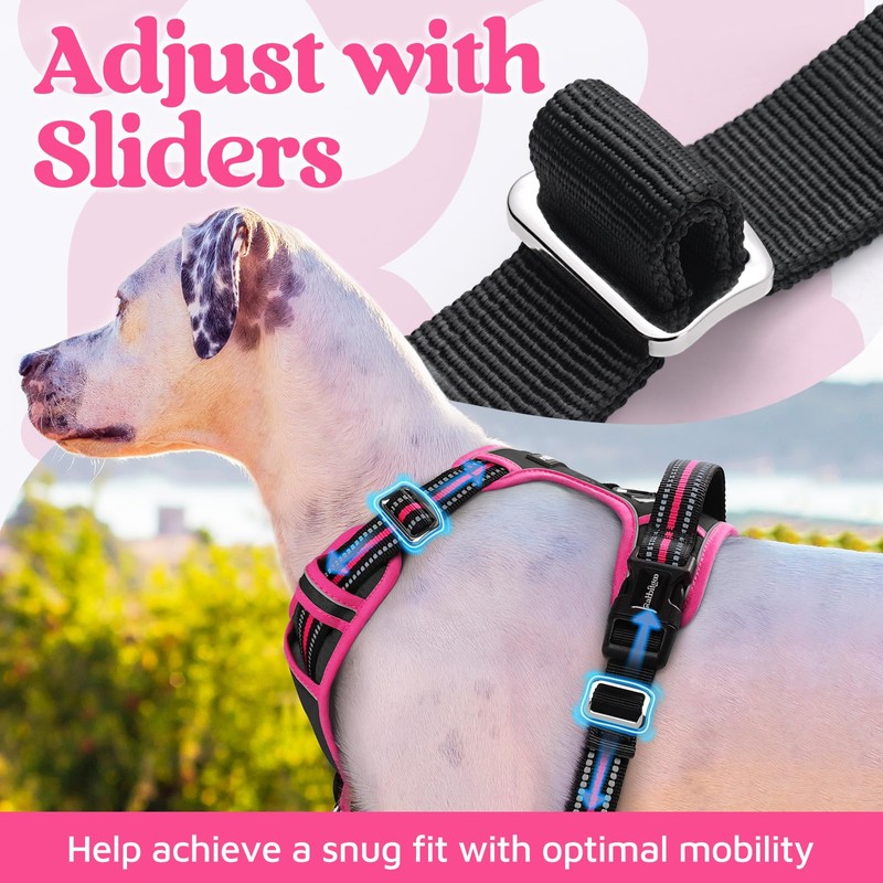 rabbitgoo Dog Harness Medium Sized, No Pull Dog Vest with