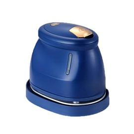 Portable Handheld Steamer, Handheld Garment Iron, Portable Mini Ironing Machine with Steam, 800W 65ml Detachable Water Tank Intelligent Temperature Control Dry Burning-Resistant Protection