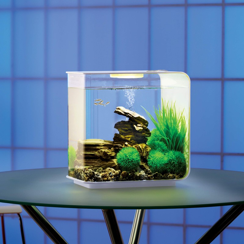biOrb Flow Aquarium