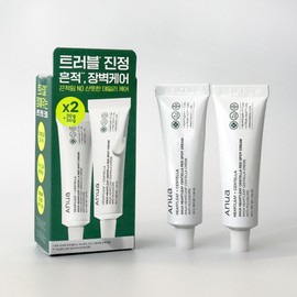 1+1 Anua Red Spot Cream Ointment Houttuynia cordata Centella 30g / 1+1 아누아 레드 스팟 크림 연고 어성초 센텔라 30g