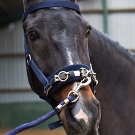 Whitaker Unisex's Cavesson Lunge Navy Full, Blue