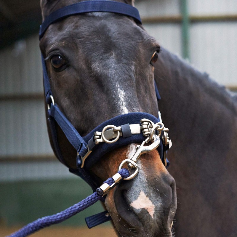 Whitaker Unisex's Cavesson Lunge Navy Full, Blue