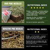 Organic Pine Needle Tea Bags - 100% Pure Natural Dried