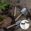 YBB 12 Pack Compressed Coco Coir Plant Pot Disc, 2