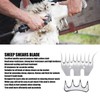 Replacement Blades for Sheep Scissors, Professional Curved 9 Tooth Shear